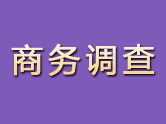 纳雍商务调查